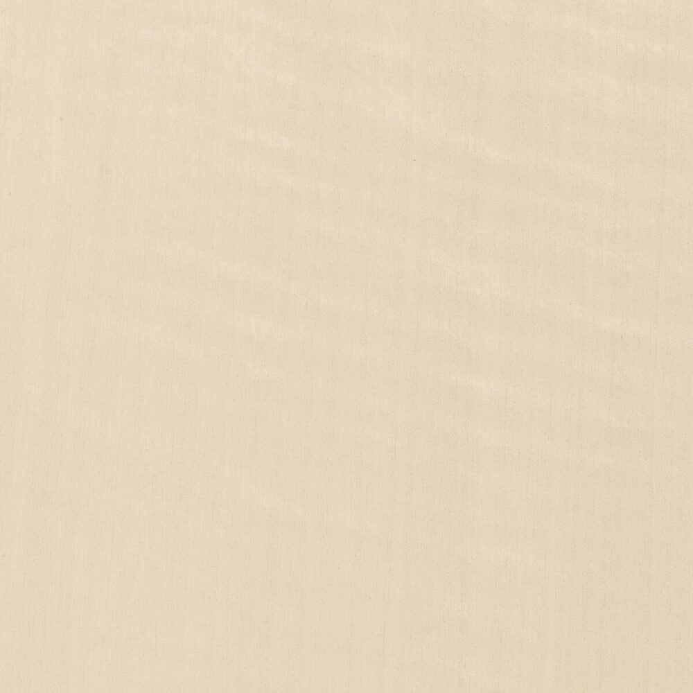 FIGURED ANEGRÈ 01.S.016