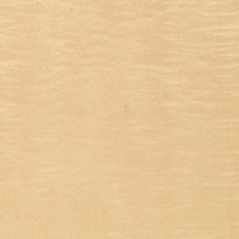 MAPLE FRISÉ 09.S.087