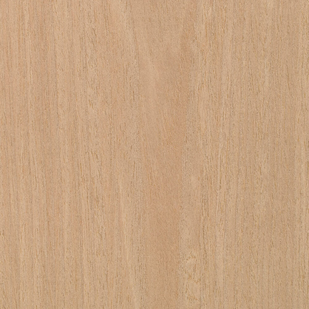 NEWOOD A.13.127