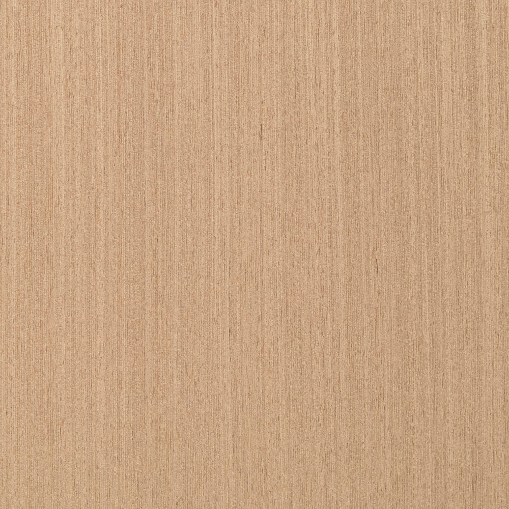 NEWOOD R.06.320