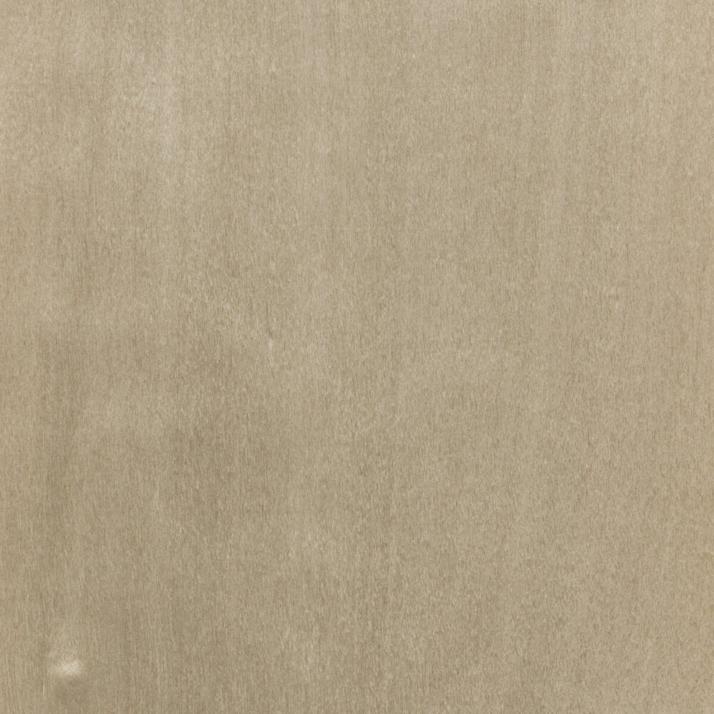 BIRCH TREE 27.003