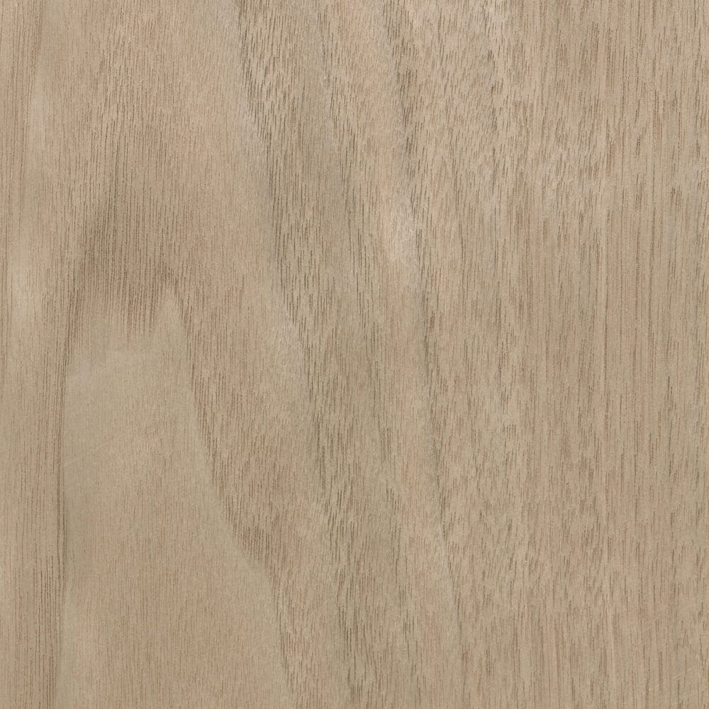CANALETTO WALNUT 51.193