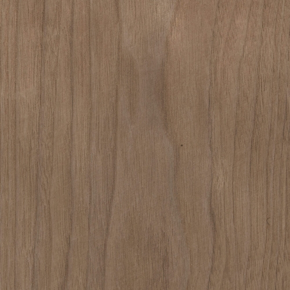 CANALETTO WALNUT 51.B02