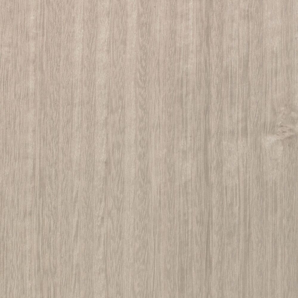EUCALYPTUS E5.119