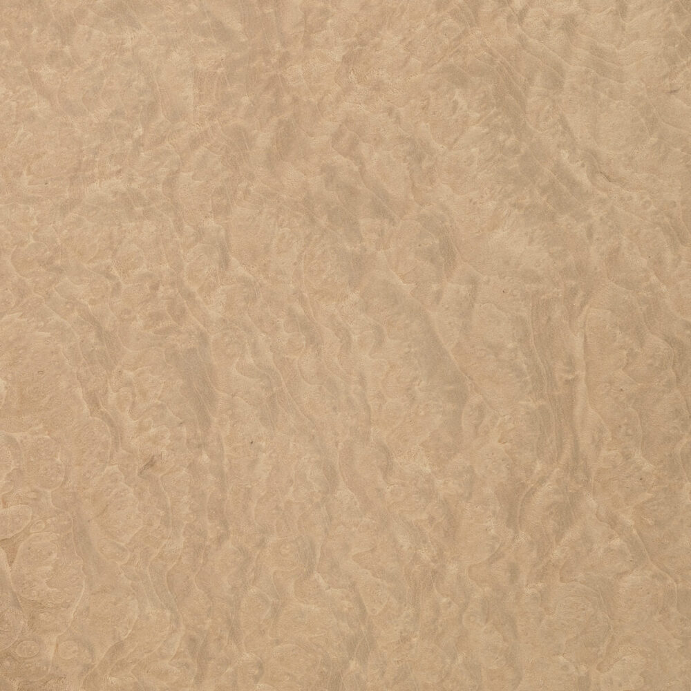 MADRONA BURL 46.004