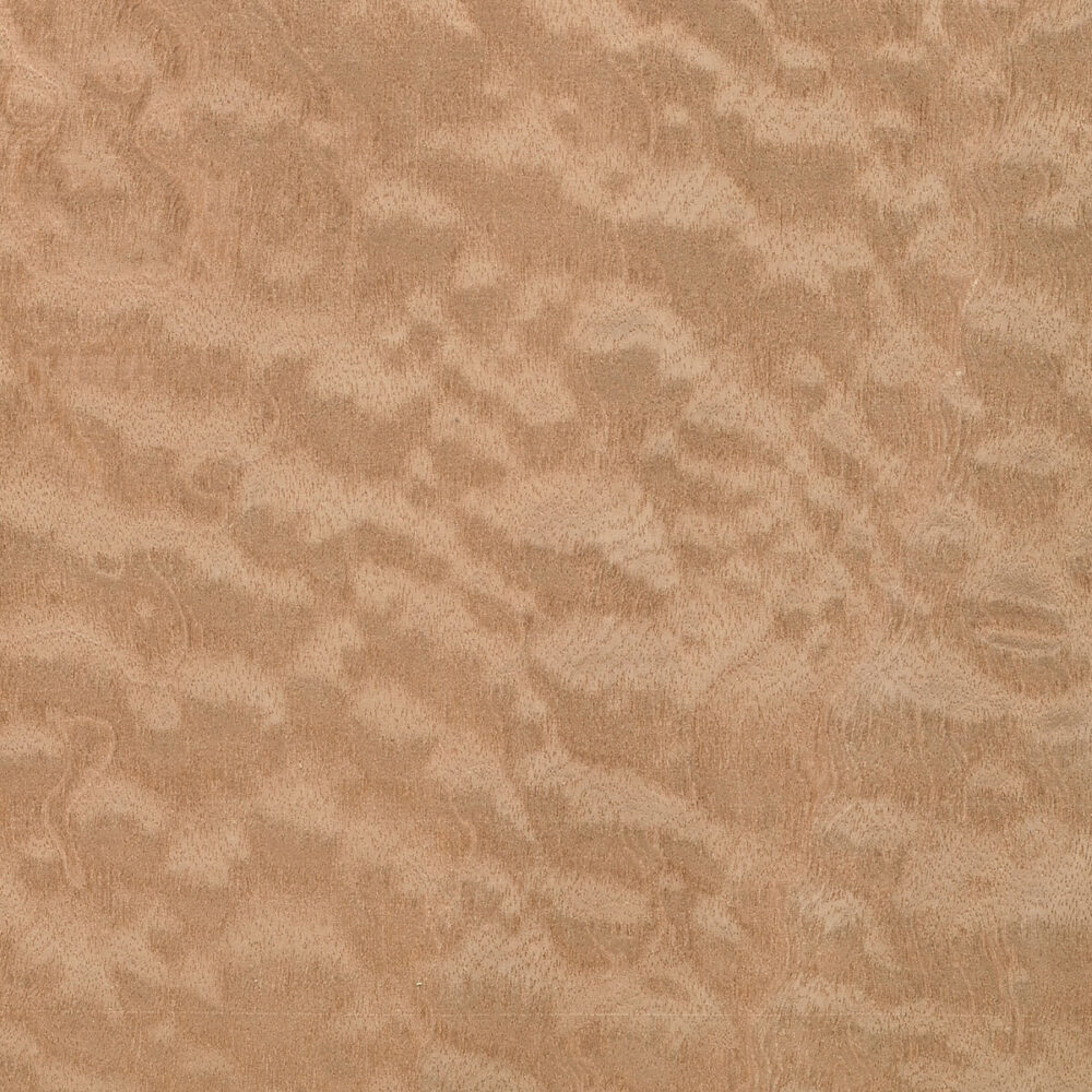 MAHOGANY 08.P.010