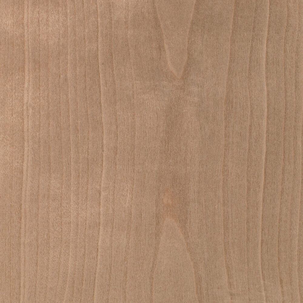 AMERICAN CHERRY TREE C3.014