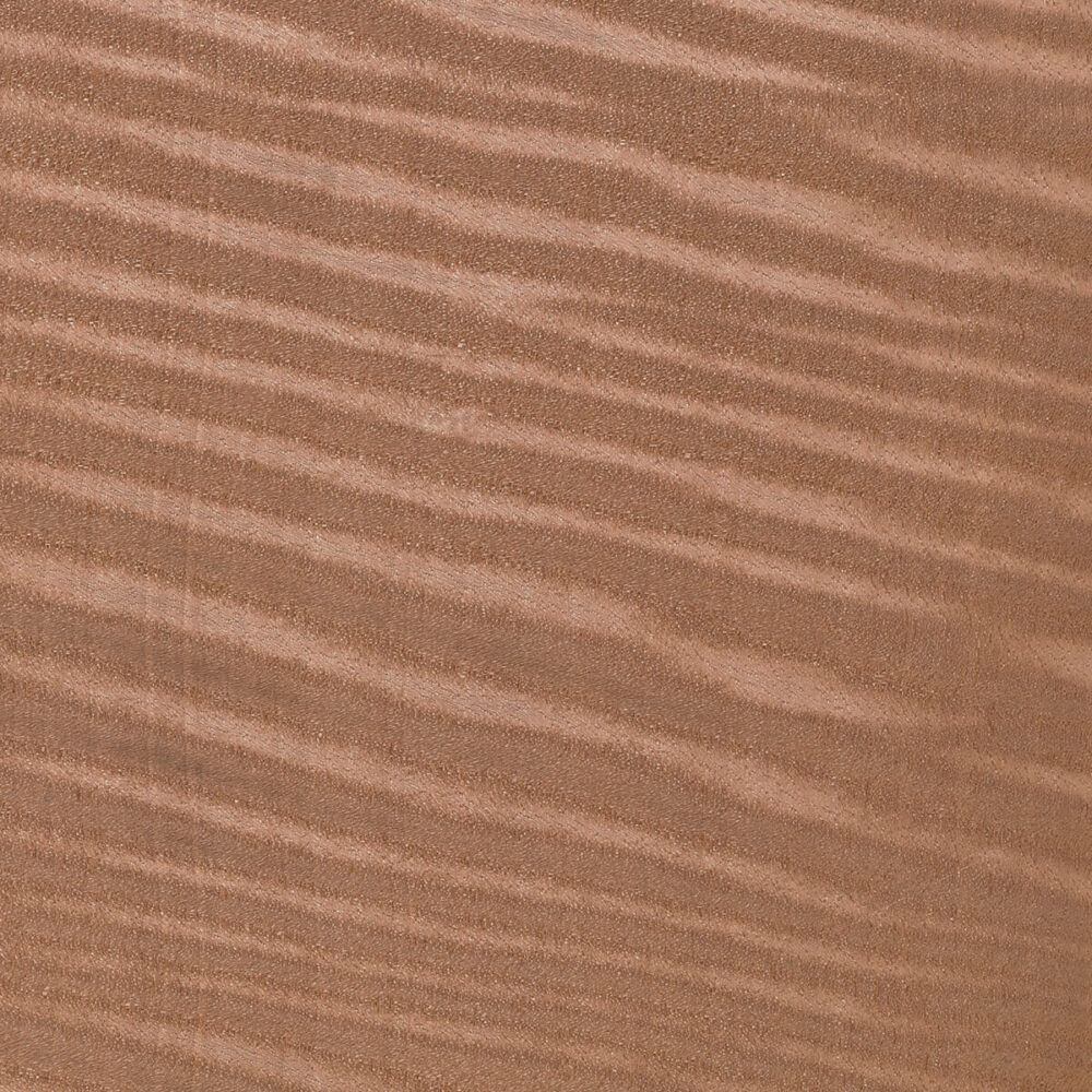 FIGURED ANEGRÈ 01.S.115