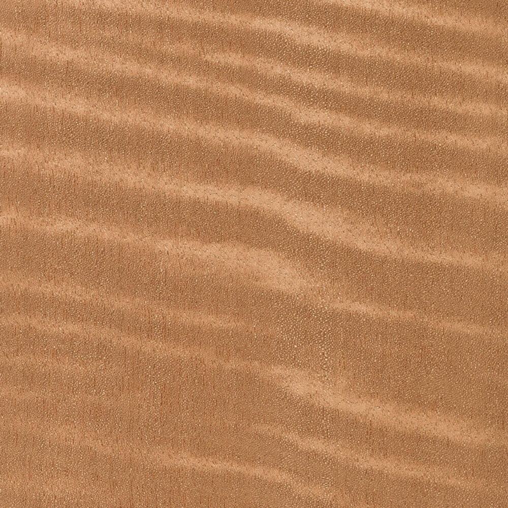 FIGURED ANEGRÈ 01.S.117