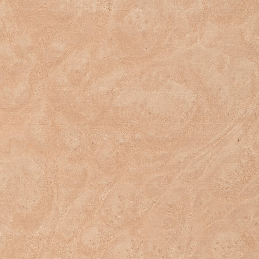 MADRONA BURL 46.003