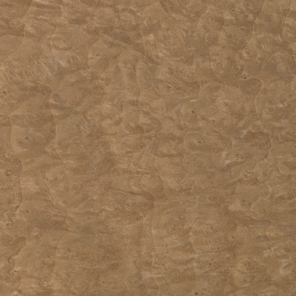 MADRONA BURL 46.006