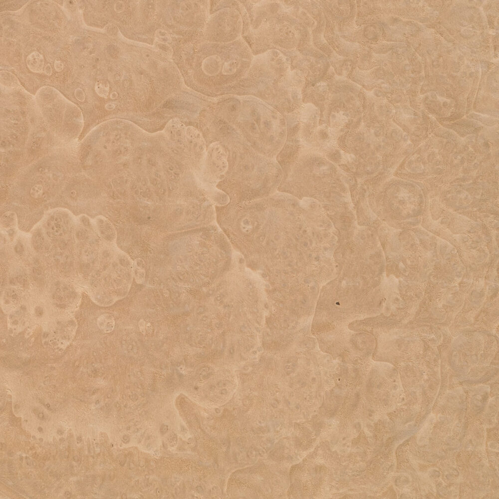 MADRONA BURL 46.031