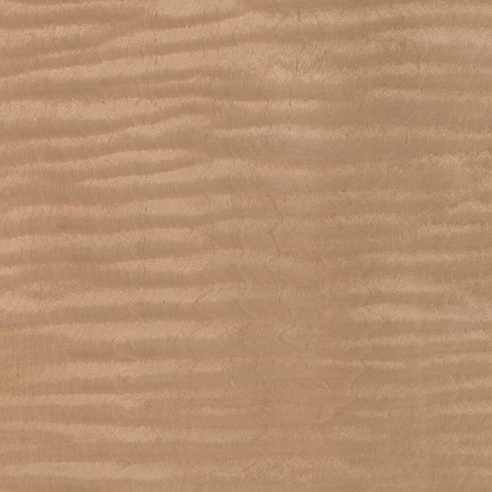 MAPLE FRISÉ 09.S.091