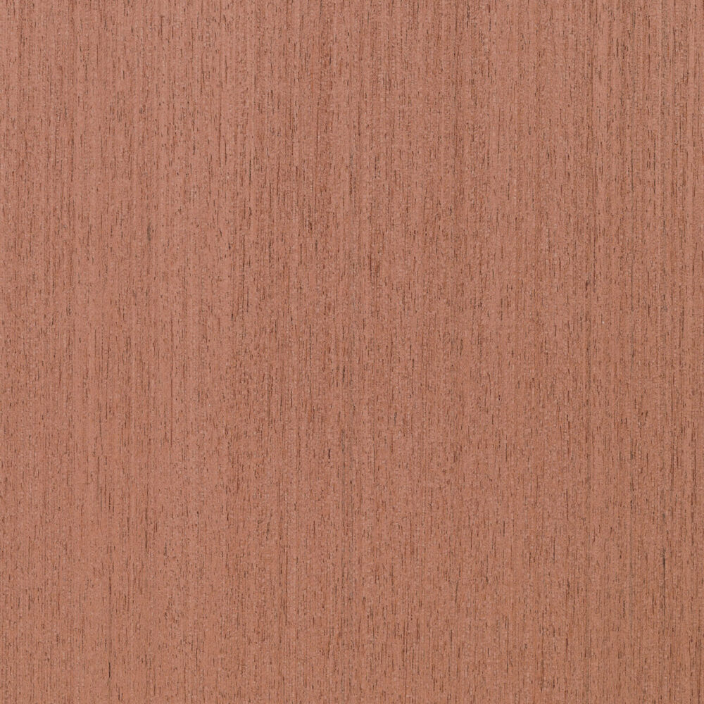 NEWOOD R.08.009