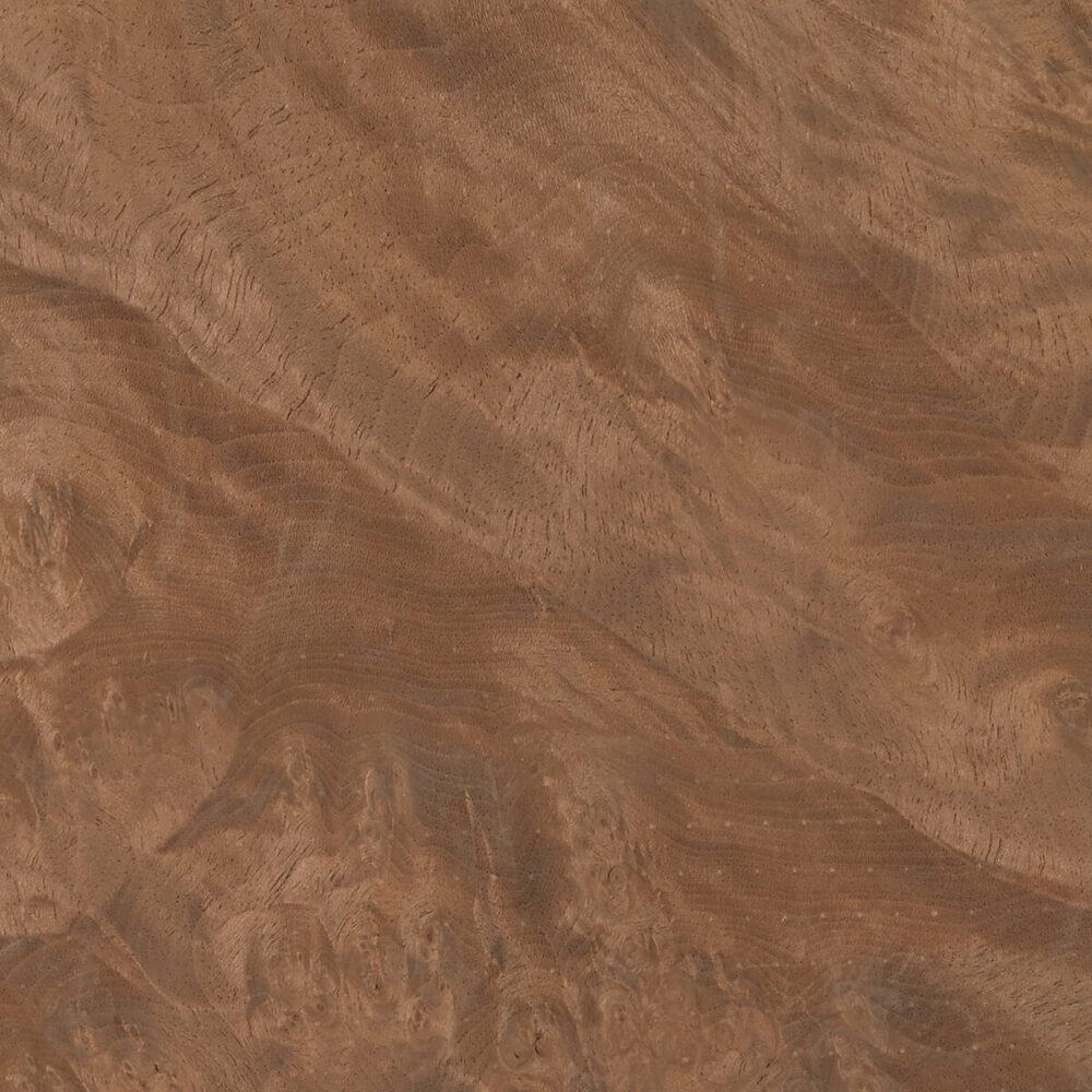 PERSIAN WALNUT BURL 99.044