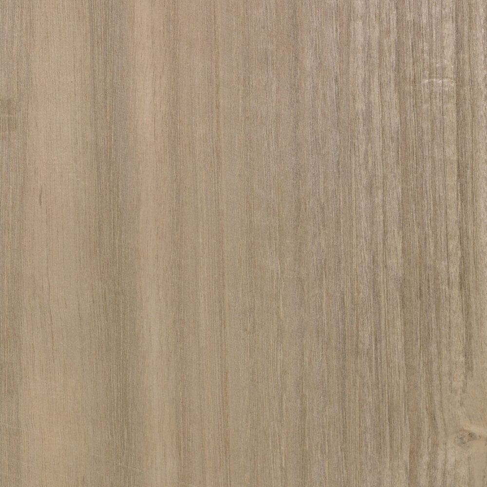 EUCALYPTUS E5.B03