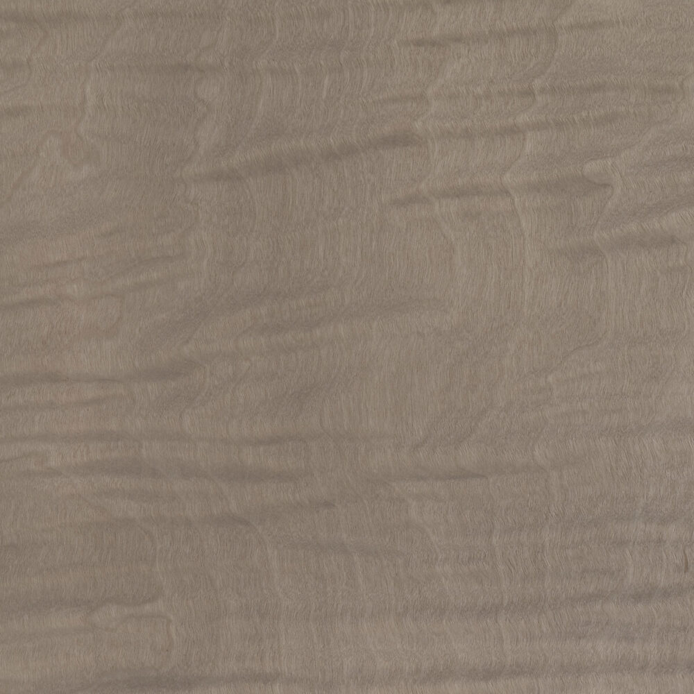 MAPLE FRISÉ 09.S.015