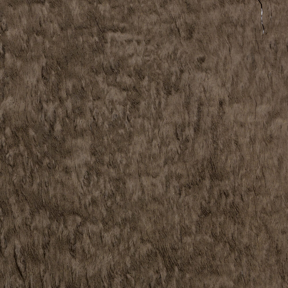 EUCALYPTUS POMELÉ E5.P.010