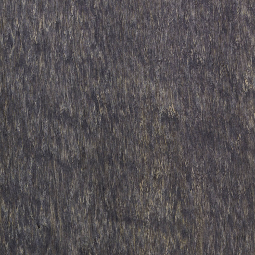 EUCALYPTUS POMELÉ E5.P.B09