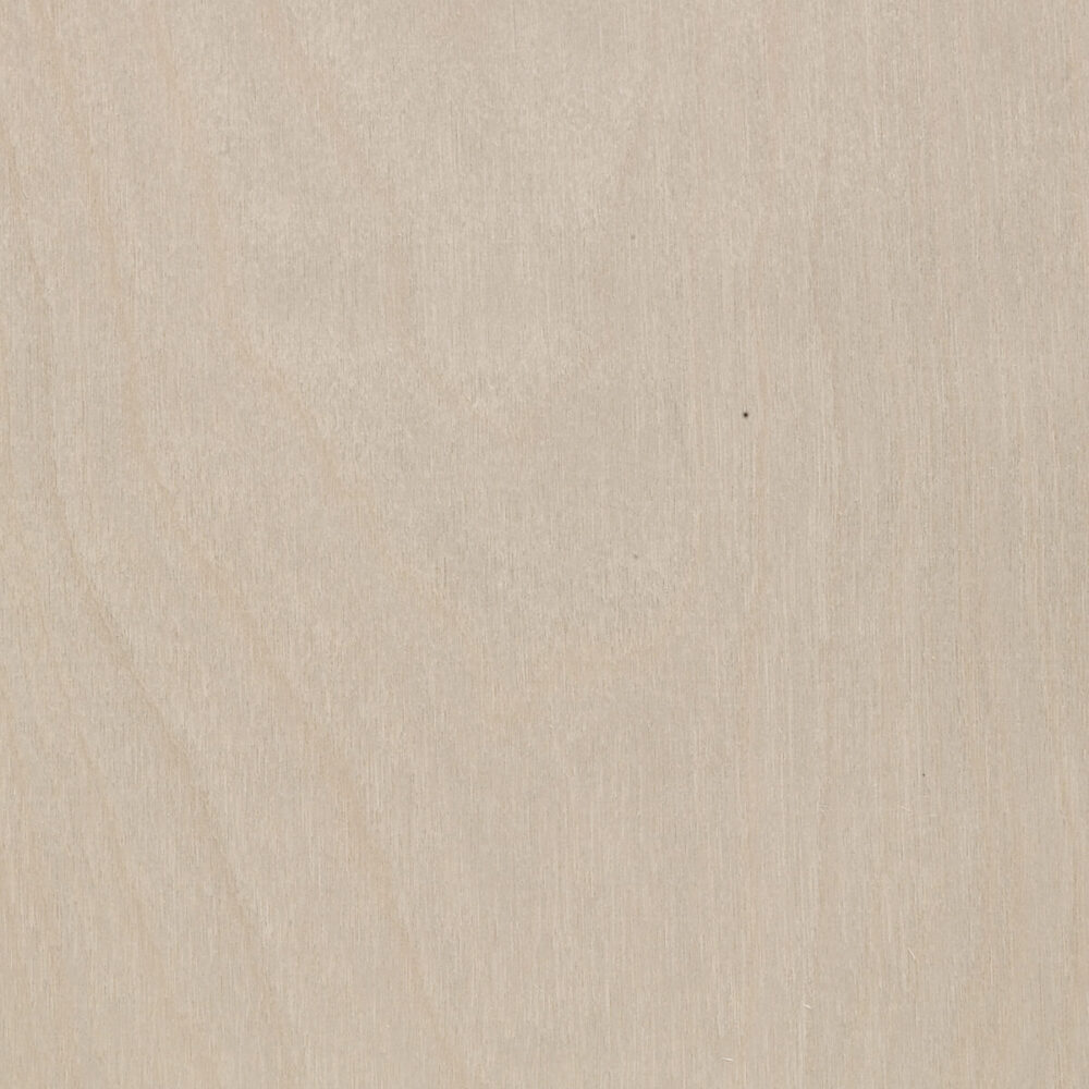BIRCH TREE 27.051