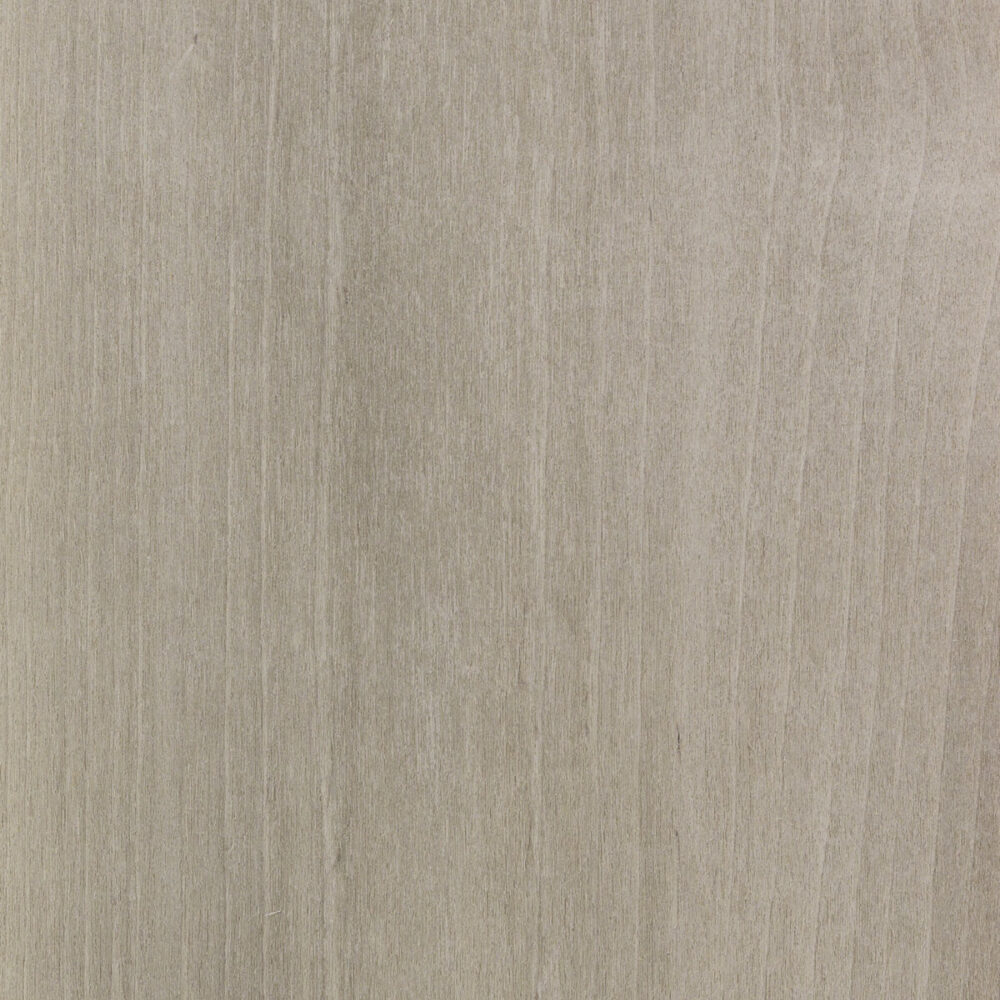 BIRCH TREE 27.002