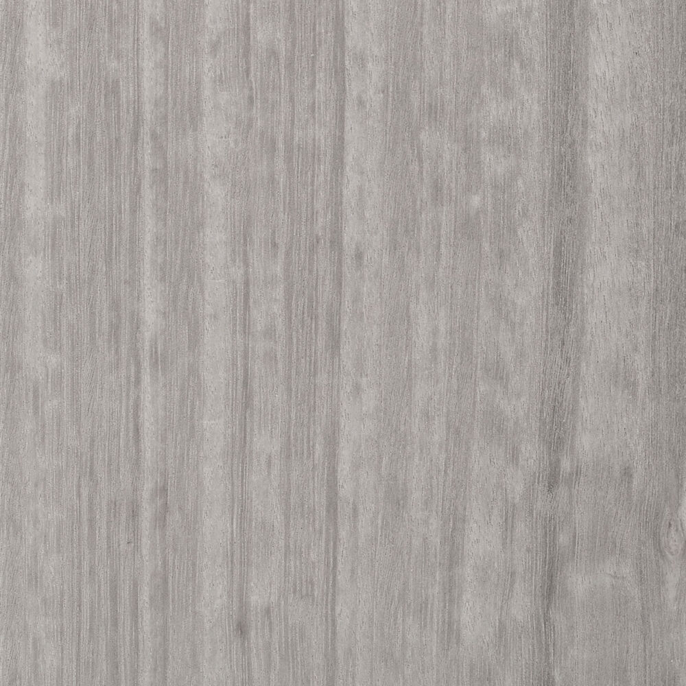 EUCALYPTUS E5.117