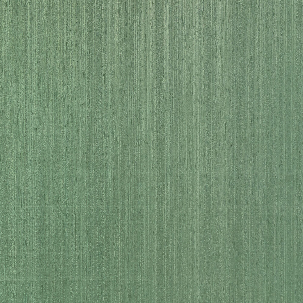 CALEIDOLEGNO RR.00.080