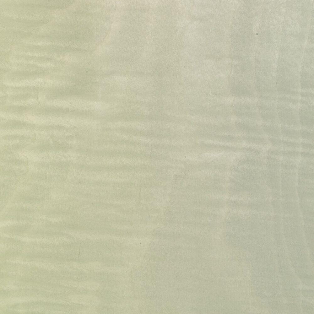 MAPLE FRISÉ 09.S.005