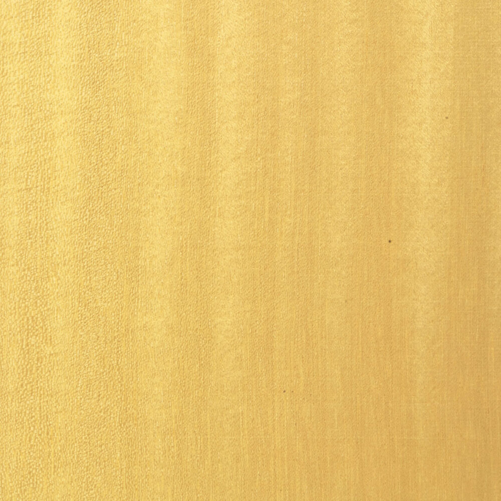 PAMA T1.005