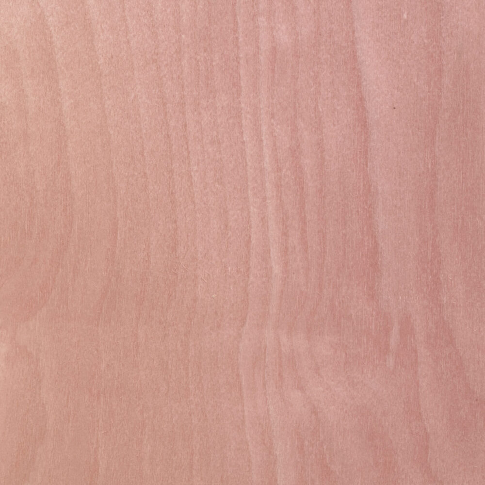 BIRCH TREE 27.064