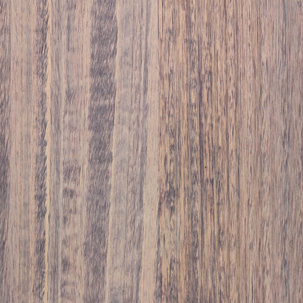 EUCALYPTUS E5.B08