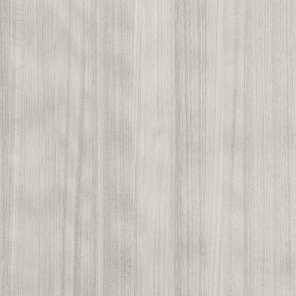 EUCALYPTUS MUTA E5.007