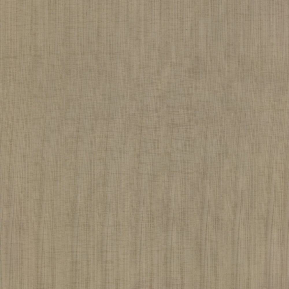 TAY LIGHT BROWN RF.014